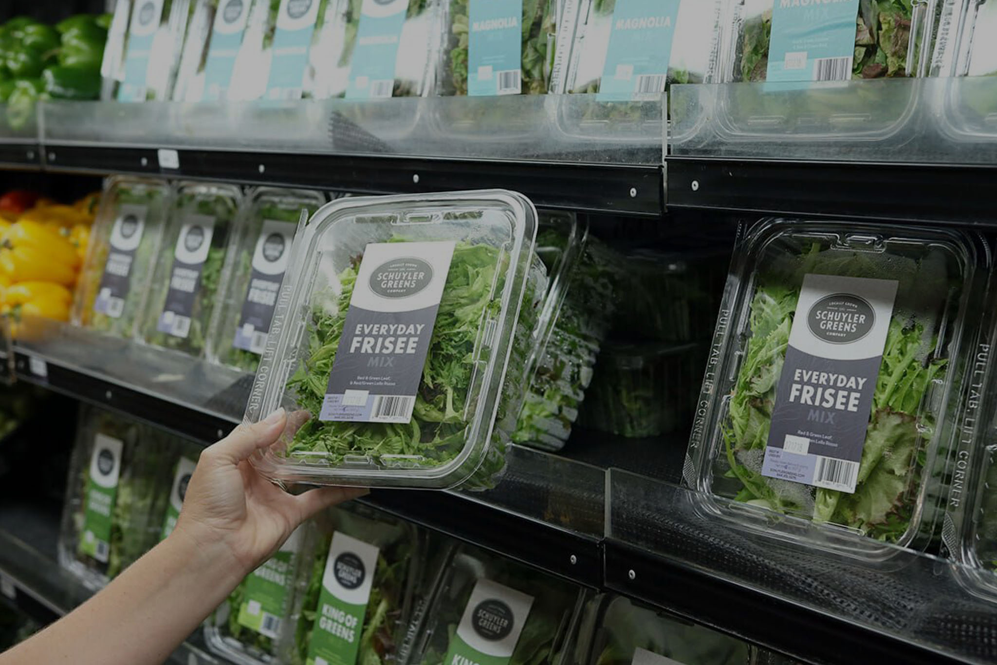 Hater Ambalaj Hizmetlerimiz