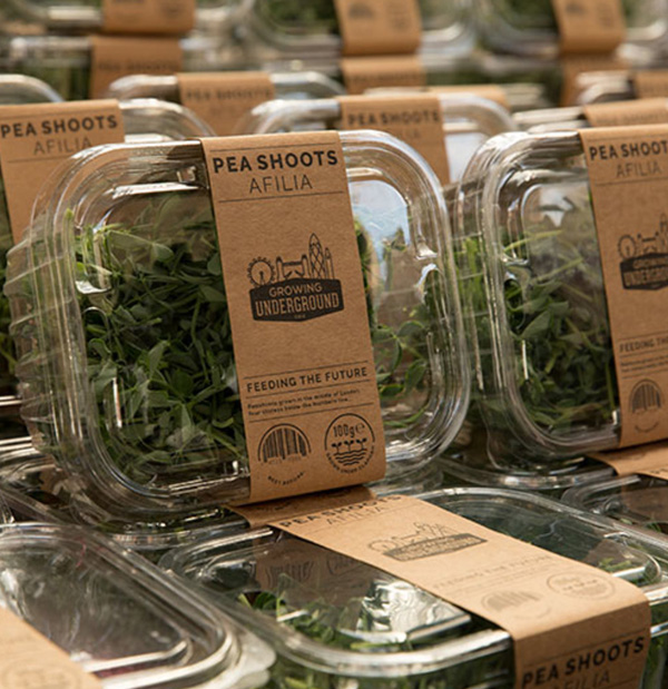 Hater Ambalaj Hizmetlerimiz