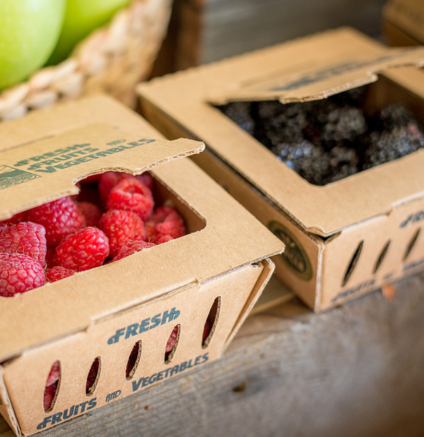 Hater Ambalaj Hizmetlerimiz