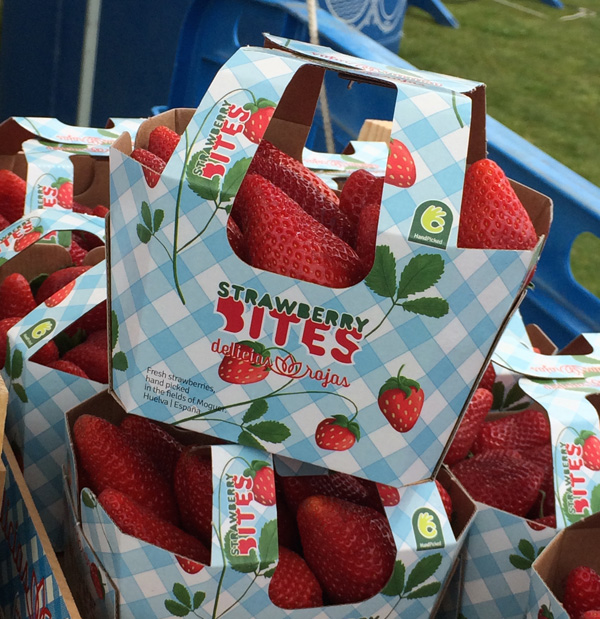 Hater Ambalaj Hizmetlerimiz