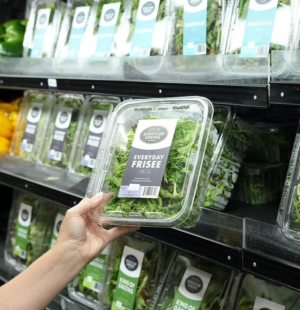 Hater Ambalaj Hizmetlerimiz